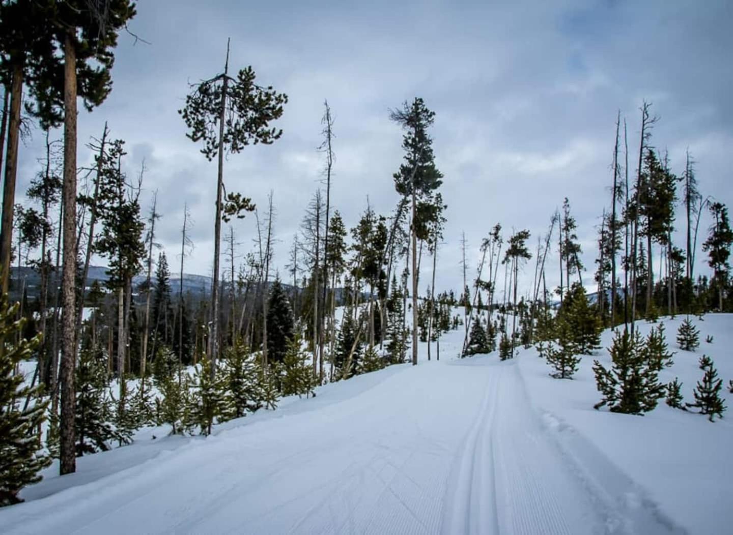 The Loose Moose Cabin #11 At Downtown Grand Lake Buitenkant foto